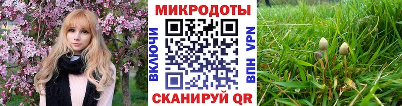 Псилоцибиновые грибы прущие грибы  Зверево 